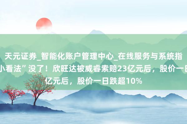 天元证券_智能化账户管理中心_在线服务与系统指引 60个“小看法”没了！欣旺达被威睿索赔23亿元后，股价一日跌超10%