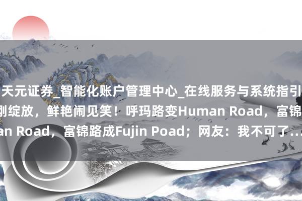 天元证券_智能化账户管理中心_在线服务与系统指引 上海地铁新站刚刚绽放，鲜艳闹见笑！呼玛路变Human Road，富锦路成Fujin Poad；网友：我不可了……