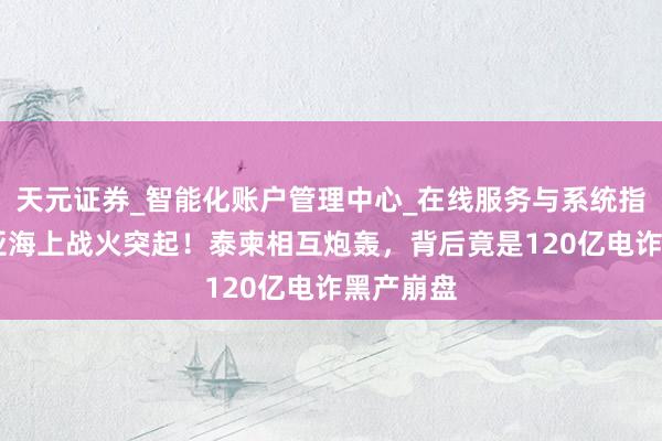 天元证券_智能化账户管理中心_在线服务与系统指引 东南亚海上战火突起!泰柬相互炮轰,背后竟是120亿电诈黑产崩盘
