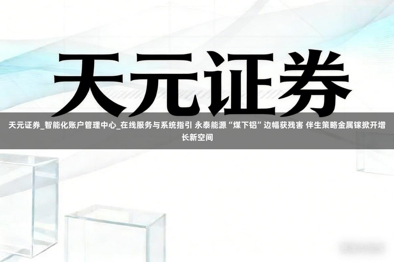 天元证券_智能化账户管理中心_在线服务与系统指引 永泰能源“煤下铝”边幅获残害 伴生策略金属镓掀开增长新空间