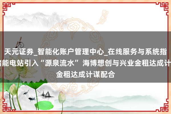 天元证券_智能化账户管理中心_在线服务与系统指引 为储能电站引入“源泉流水” 海博想创与兴业金租达成计谋配合