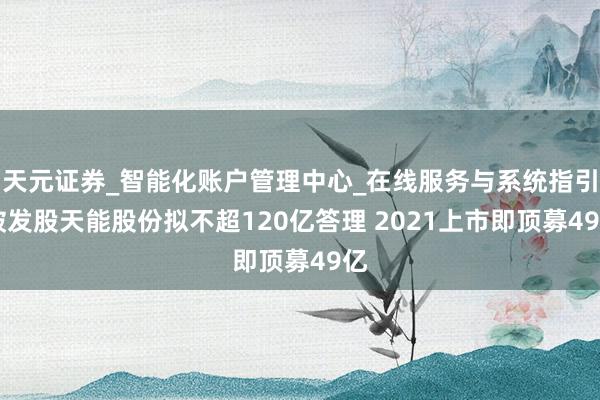 天元证券_智能化账户管理中心_在线服务与系统指引 破发股天能股份拟不超120亿答理 2021上市即顶募49亿
