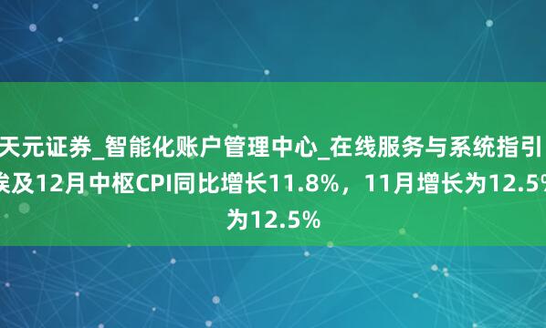 天元证券_智能化账户管理中心_在线服务与系统指引 埃及12月中枢CPI同比增长11.8%，11月增长为12.5%