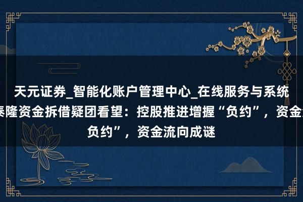 天元证券_智能化账户管理中心_在线服务与系统指引 宝泰隆资金拆借疑团看望：控股推进增握“负约”，资金流向成谜