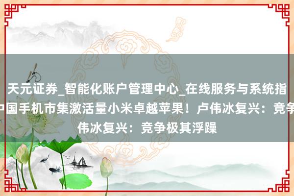 天元证券_智能化账户管理中心_在线服务与系统指引 2025中国手机市集激活量小米卓越苹果！卢伟冰复兴：竞争极其浮躁